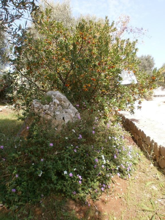 Trullo Villa Giuliana Con Giardino Posizione Panoramica Free Wifi Ostuni Buitenkant foto