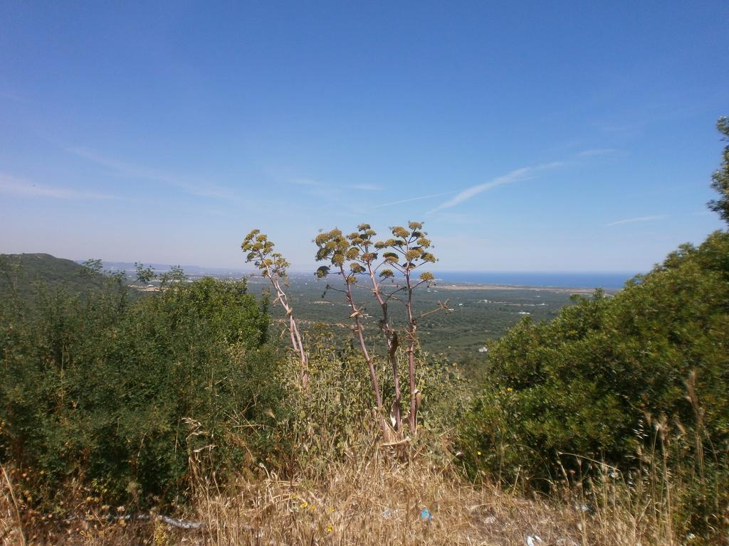Trullo Villa Giuliana Con Giardino Posizione Panoramica Free Wifi Ostuni Kamer foto