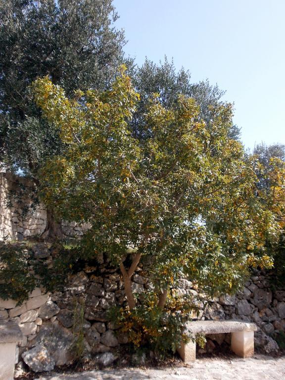 Trullo Villa Giuliana Con Giardino Posizione Panoramica Free Wifi Ostuni Kamer foto